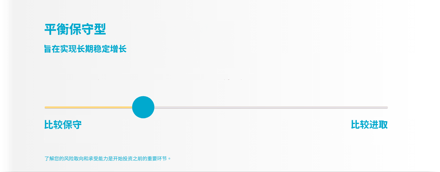 选择您的投资策略。